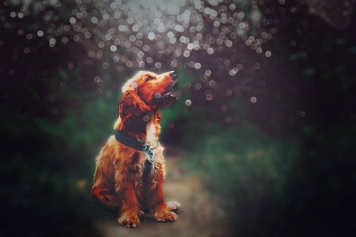 Графический дизайн для детей от 10 лет: первые шаги к профессии онлайн